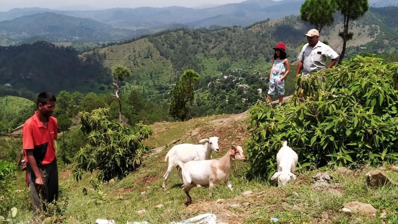 Dwarahat Village Farmstay- Babaji'S Cave المظهر الخارجي الصورة