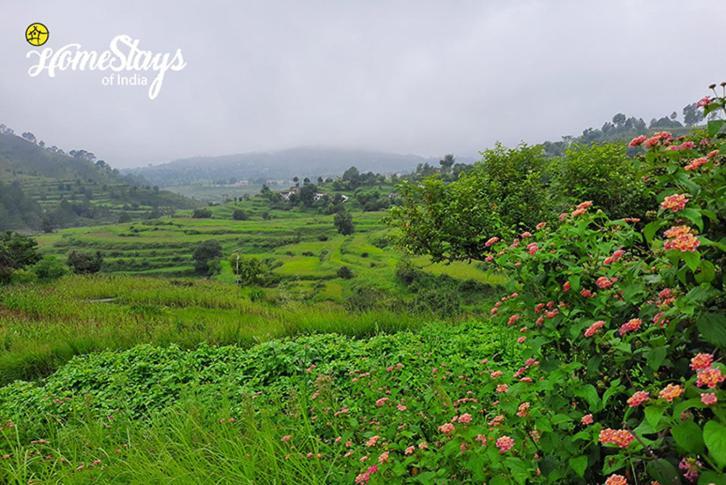 Dwarahat Village Farmstay- Babaji'S Cave المظهر الخارجي الصورة