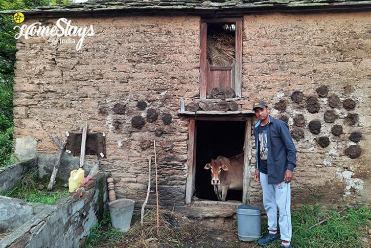 Dwarahat Village Farmstay- Babaji'S Cave المظهر الخارجي الصورة