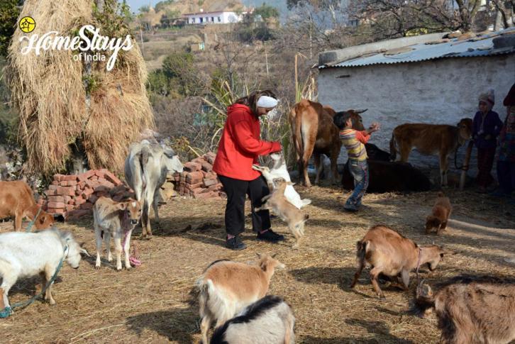 Dwarahat Village Farmstay- Babaji'S Cave المظهر الخارجي الصورة