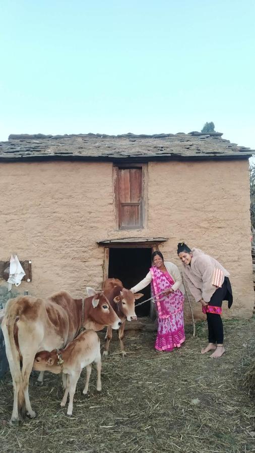 Dwarahat Village Farmstay- Babaji'S Cave المظهر الخارجي الصورة