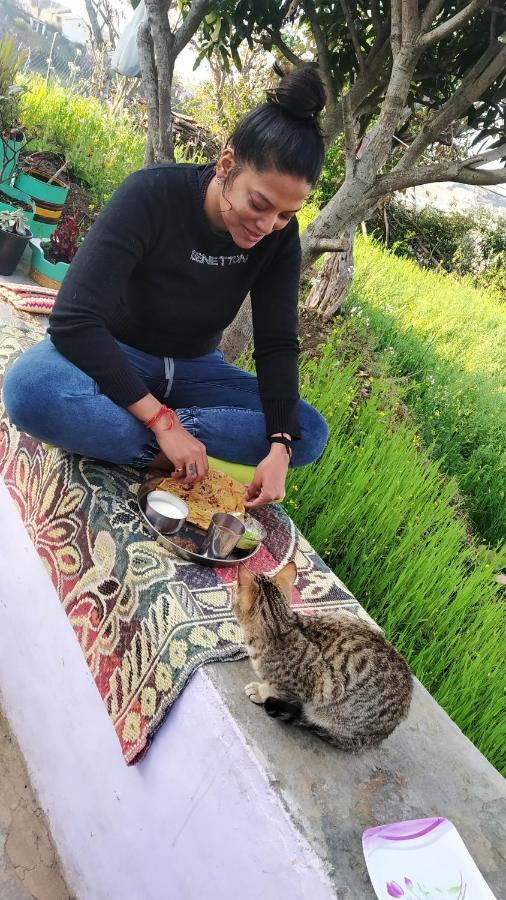 Dwarahat Village Farmstay- Babaji'S Cave المظهر الخارجي الصورة